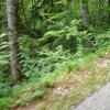 2012-06-23 - 11-06-20 SchweizTour